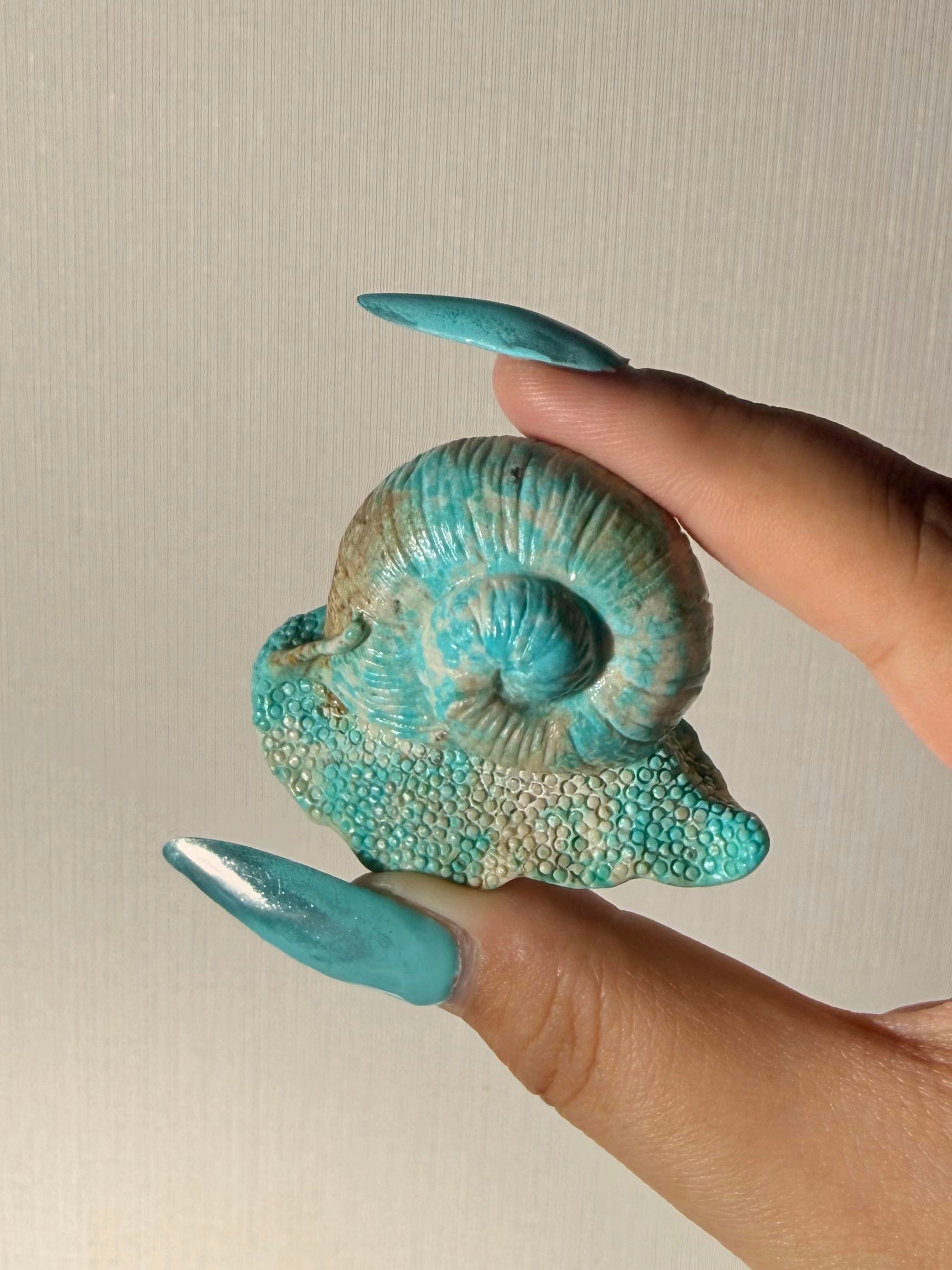 Rare blue Turquoise snail Carving